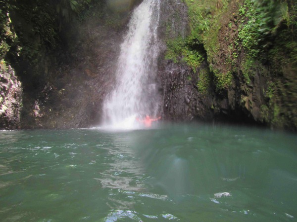 Grenada Diving In The Falls