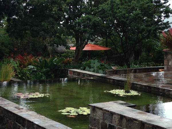 Plantation garden 2 Nevis