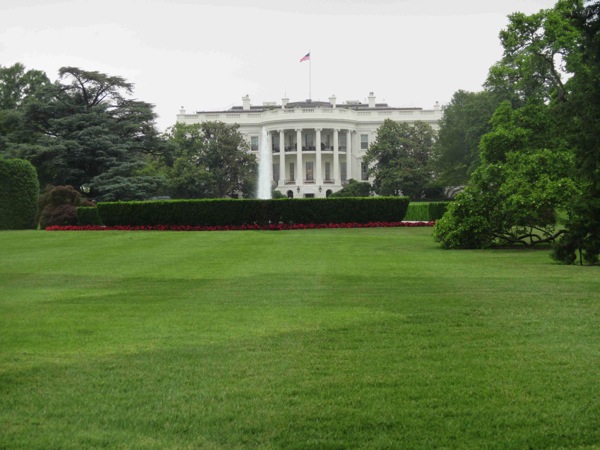 The White House