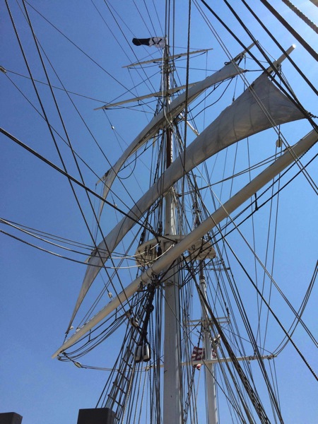 Now that s what I call rigging