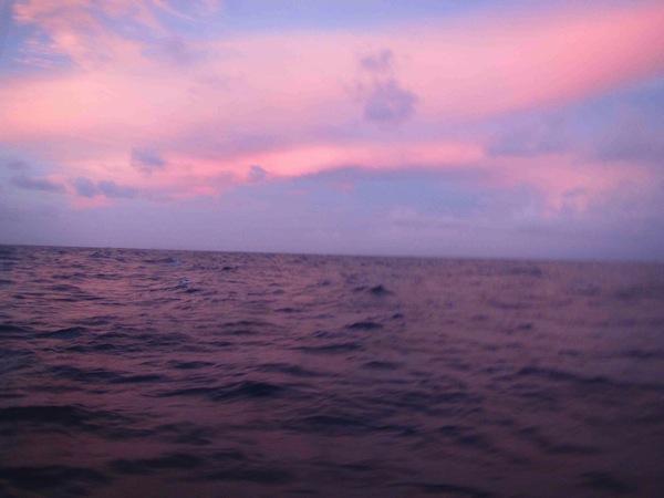 Picture Of The Morning 4