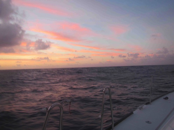 Pictures of the Morning 1