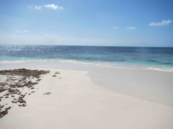 Barbuda 2