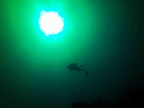 Arty Farty Cool Diving Photo 2