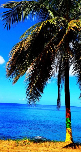 Arty Farty Patriotic Palm Tree