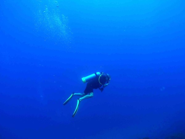 Cool Diving Photo 1