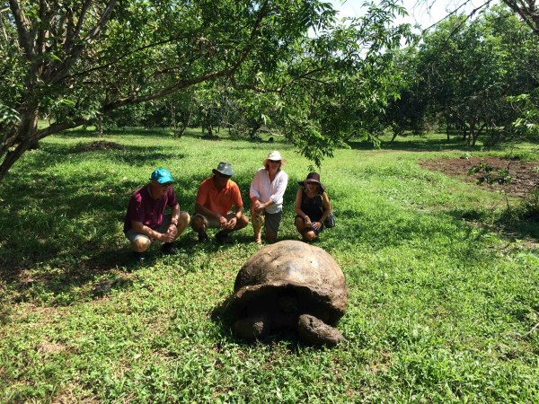 The Famous Four Go Tortoise Hunting