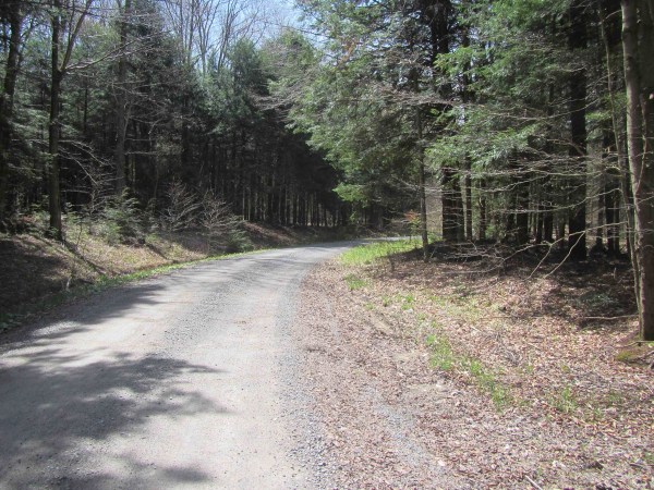 Off the beaten track 2