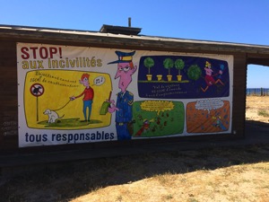 No dog pooing or stealing trees