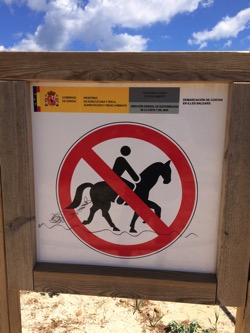 No horse riding