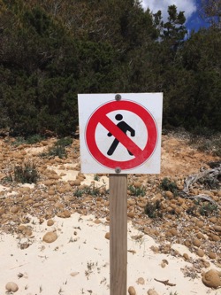 No walking