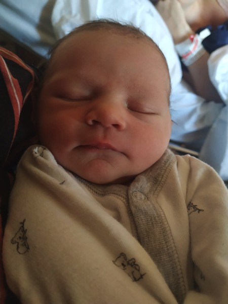 Ab0febfd b2ad 4e6d 8f4e 5b1e92cc0ff8