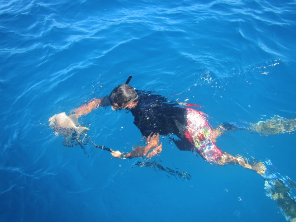 Spearfishing